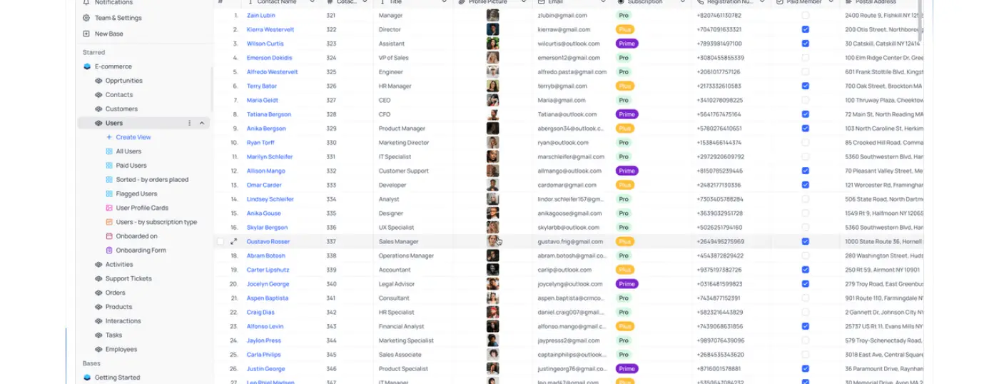 NocoDB grid view